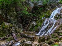 Stämme liegen wirr vor der Gumpe am dritten Wasserfall